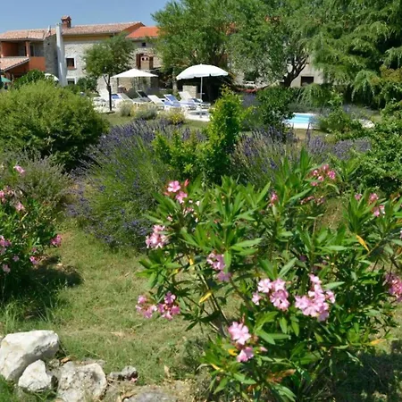 Holiday home Three Bedroom With Private Pool Vodnjan
