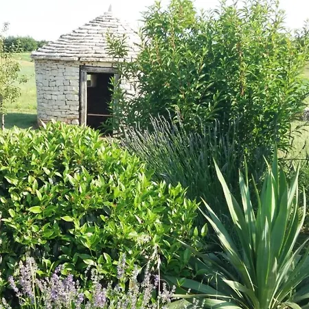 Tatil Evi Three Bedroom With Private Pool Vodnjan